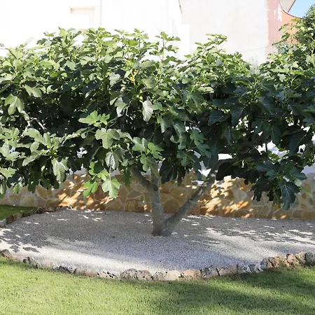 A Casa Di Sofia * Porto Cesareo