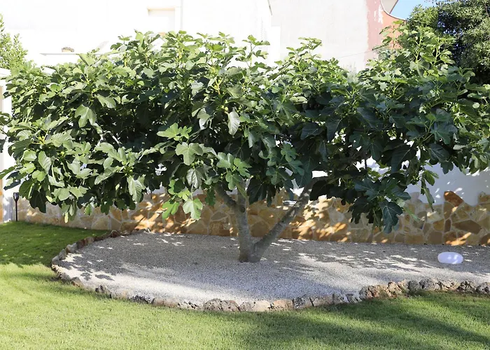 A Casa Di Sofia * Porto Cesareo